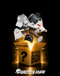 MYSTERY BOX PAROTAS HYPE