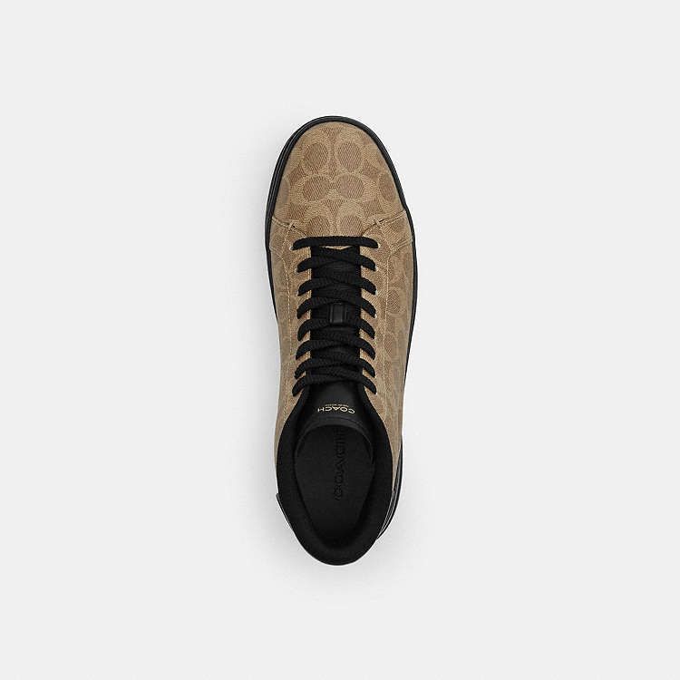 COACH Sneaker High (HOMBRE)